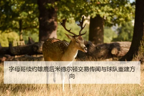 zi-mu-ge-xu-yue-xiong-lu-hou-mi-de-er-dun-jiao-yi-chuan-wen-yu-qiu-dui-chong-jian-fang-xiang-3-521.jpg