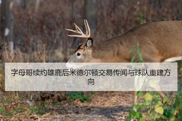 字母哥续约雄鹿后米德尔顿交易传闻与球队重建方向 | hth